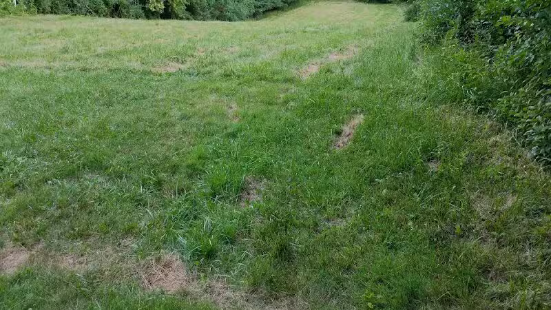 Manhattan Park - East Grand Rapids,