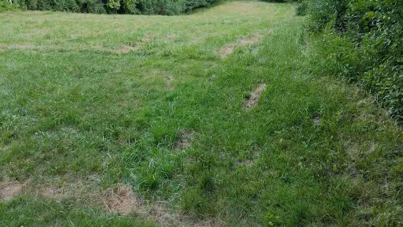 Manhattan Park - East Grand Rapids,