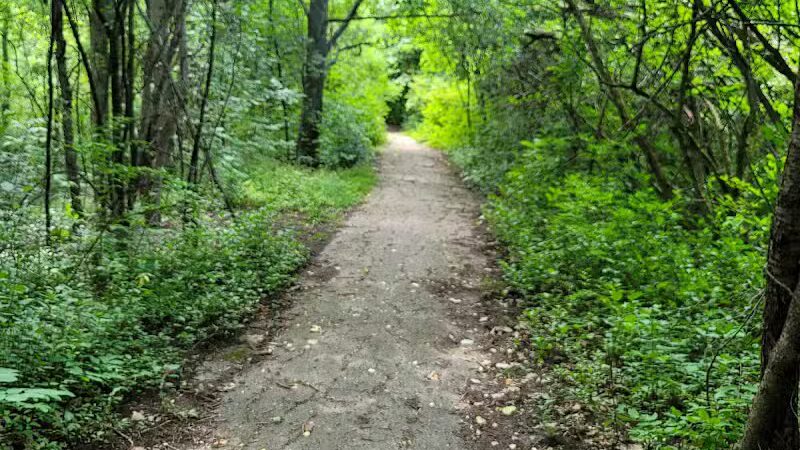 Manhattan Park - East Grand Rapids,