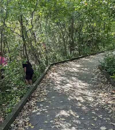 Waterfront / Gilmore Park - East Grand Rapids,