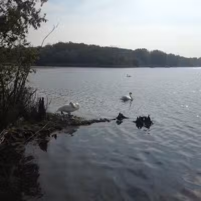Waterfront / Gilmore Park - East Grand Rapids,