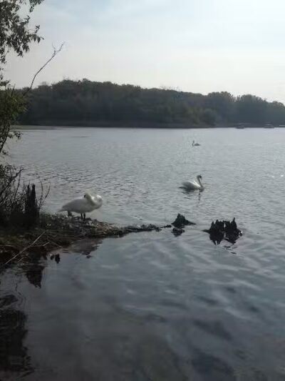 Waterfront / Gilmore Park - East Grand Rapids,