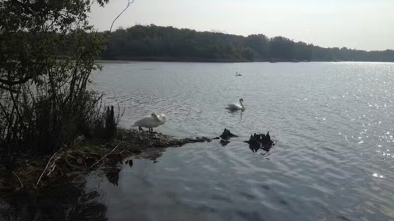 Waterfront / Gilmore Park - East Grand Rapids,