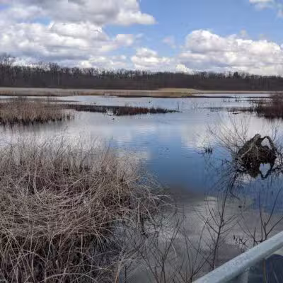 Waterfront / Gilmore Park - East Grand Rapids,