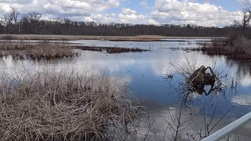 Waterfront / Gilmore Park - East Grand Rapids,