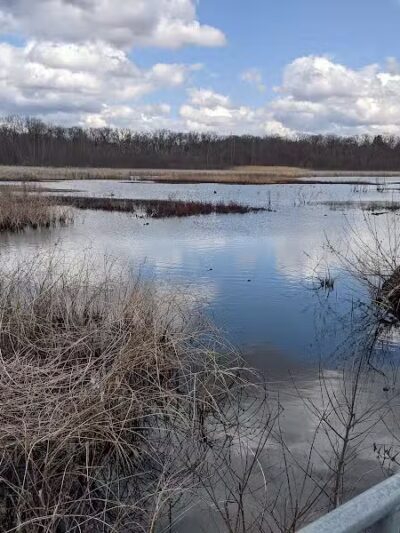 Waterfront / Gilmore Park - East Grand Rapids,