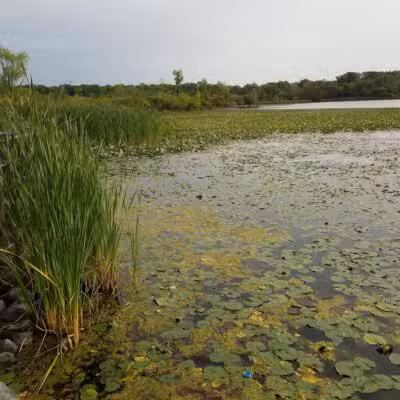 Waterfront / Gilmore Park - East Grand Rapids,