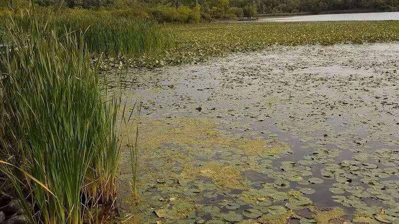Waterfront / Gilmore Park - East Grand Rapids,