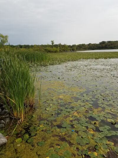 Waterfront / Gilmore Park - East Grand Rapids,