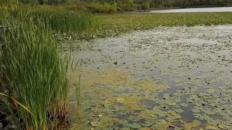 Waterfront / Gilmore Park - East Grand Rapids,