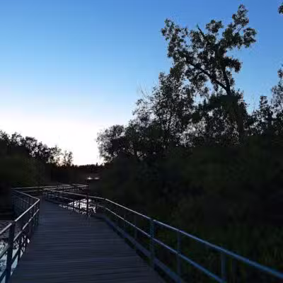 Waterfront / Gilmore Park - East Grand Rapids,