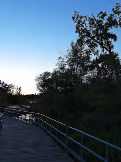 Waterfront / Gilmore Park - East Grand Rapids,