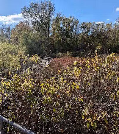 Waterfront / Gilmore Park - East Grand Rapids,