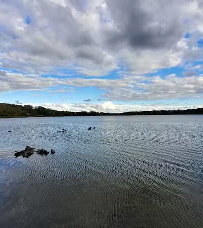 Waterfront / Gilmore Park - East Grand Rapids,
