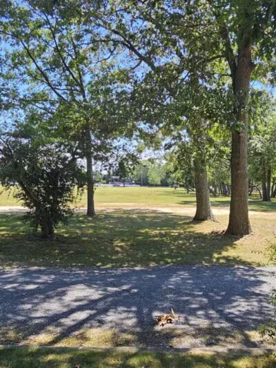 GVC Field - East Islip, NY