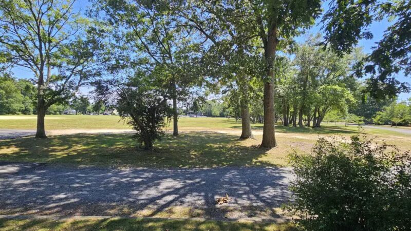 GVC Field - East Islip, NY