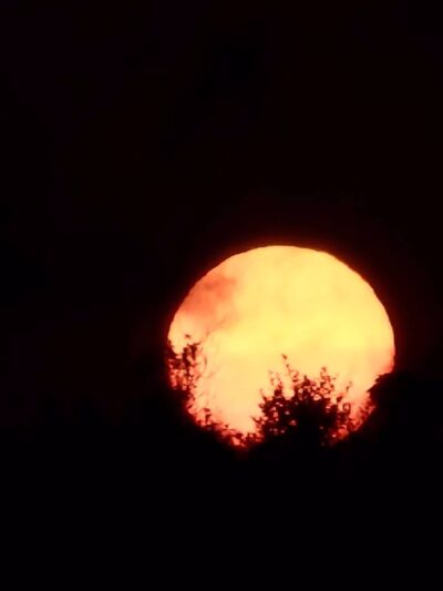 Heckscher State Park - East Islip, NY