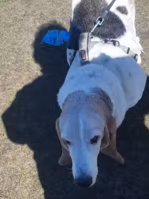 East Islip Marina Park - East Islip, NY