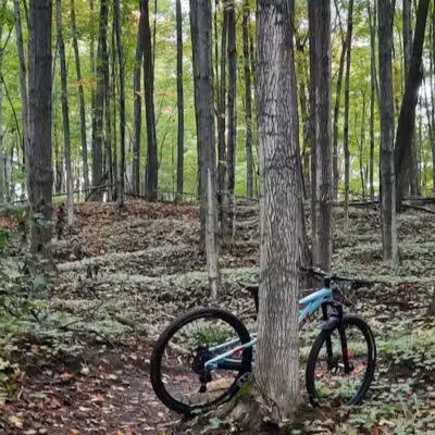 Browns Creek Pathway Trailhead - East Jordan,