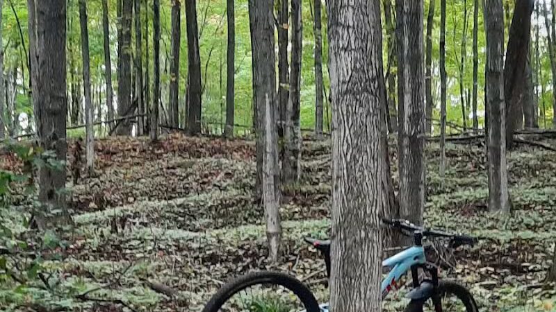 Browns Creek Pathway Trailhead - East Jordan,