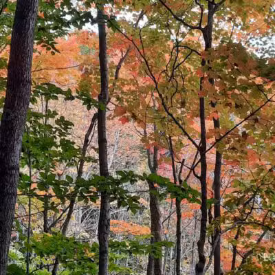 Browns Creek Pathway Trailhead - East Jordan,