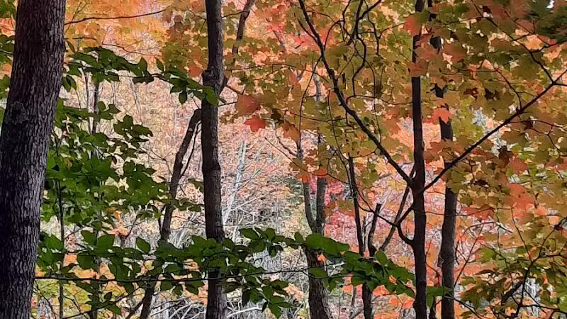 Browns Creek Pathway Trailhead - East Jordan,