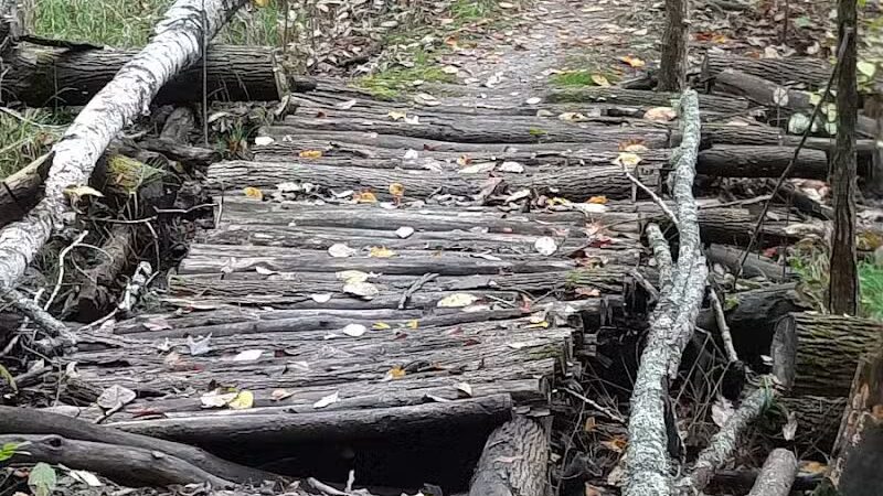 Browns Creek Pathway Trailhead - East Jordan,