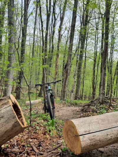 Browns Creek Pathway Trailhead - East Jordan,