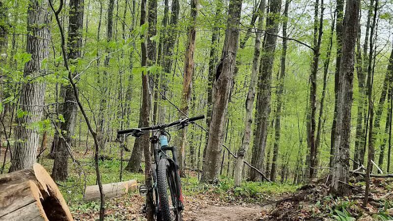Browns Creek Pathway Trailhead - East Jordan,