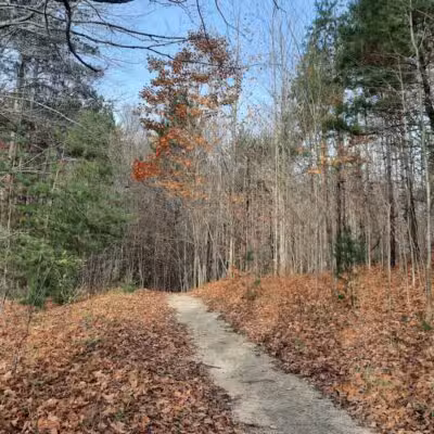 Browns Creek Pathway Trailhead - East Jordan,