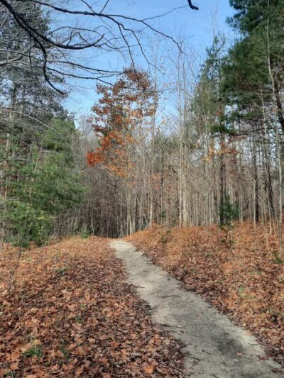 Browns Creek Pathway Trailhead - East Jordan,