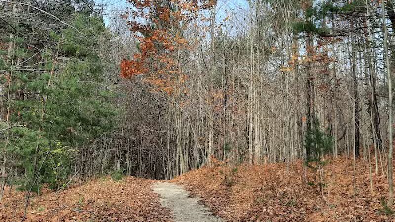 Browns Creek Pathway Trailhead - East Jordan,