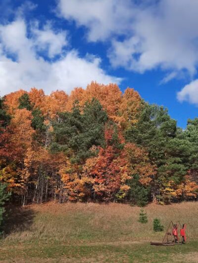 Browns Creek Pathway Trailhead - East Jordan,