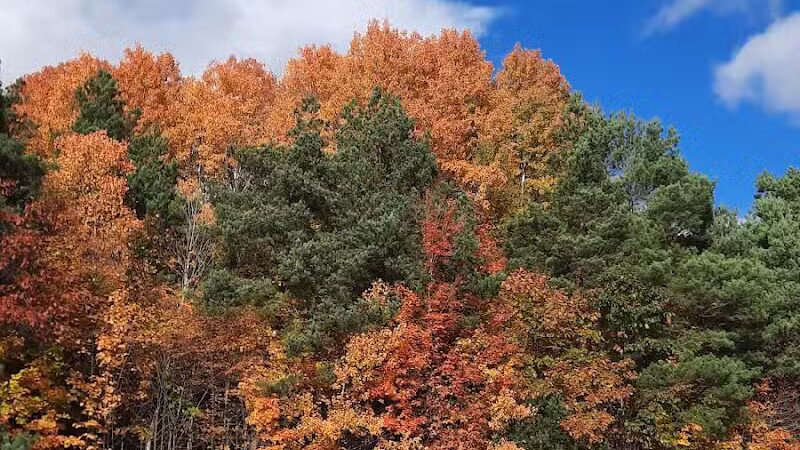 Browns Creek Pathway Trailhead - East Jordan,