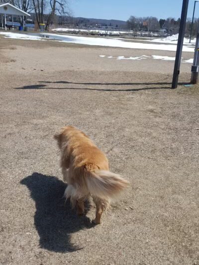 East Jordan City Tourist Park - East Jordan,