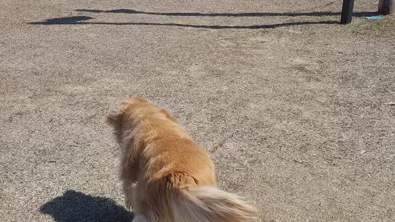 East Jordan City Tourist Park - East Jordan,