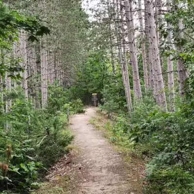 East Jordan Community Park - East Jordan,