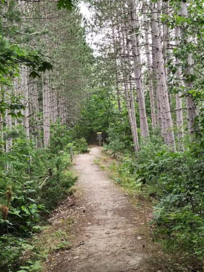 East Jordan Community Park - East Jordan,