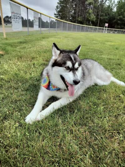 East Jordan Community Park - East Jordan,