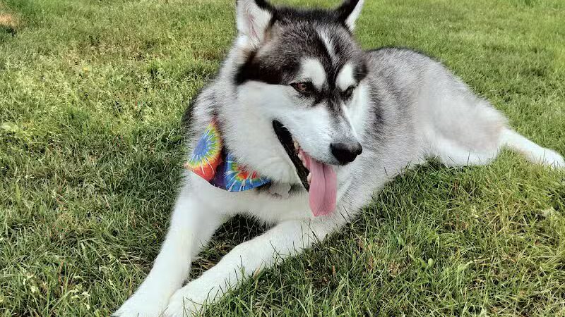 East Jordan Community Park - East Jordan,