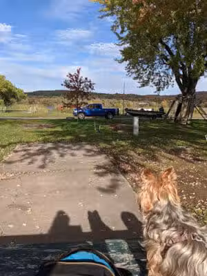 East Jordan City Tourist Park - East Jordan,