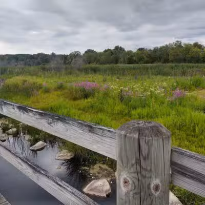 Sportsmen's Park - East Jordan,