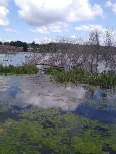 Sportsmen's Park - East Jordan,