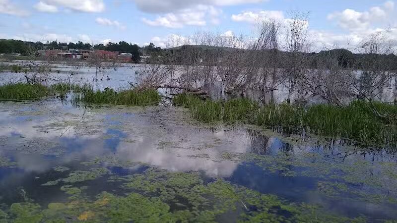 Sportsmen's Park - East Jordan,