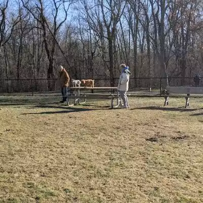 Meridian Dog Park (Small Dogs) - East Lansing, MI