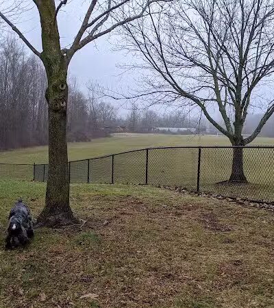 Meridian Dog Park (Small Dogs) - East Lansing, MI