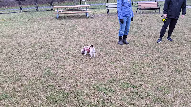 Meridian Dog Park (Small Dogs) - East Lansing, MI