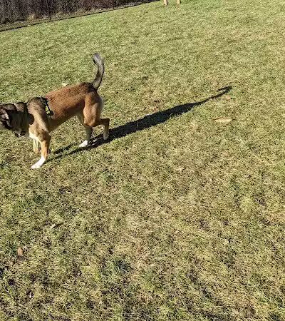 Meridian Dog Park (Small Dogs) - East Lansing, MI