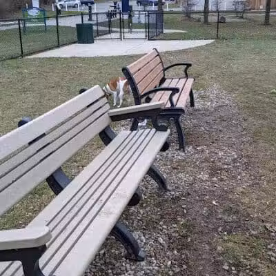 Meridian Dog Park (Small Dogs) - East Lansing, MI