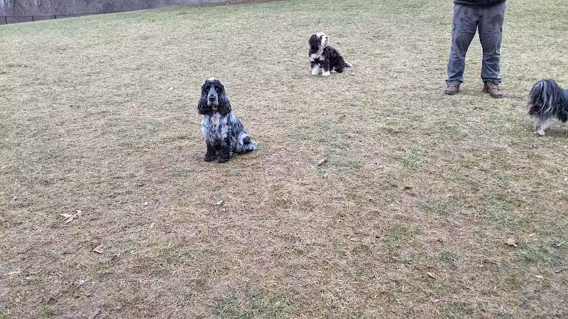 Meridian Dog Park (Small Dogs) - East Lansing, MI